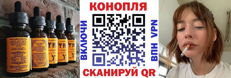 Canna-Cookies марихуана  Купить закладки  Карабаново 