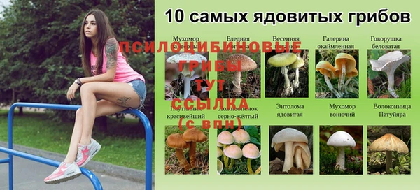 каннабис Дмитров