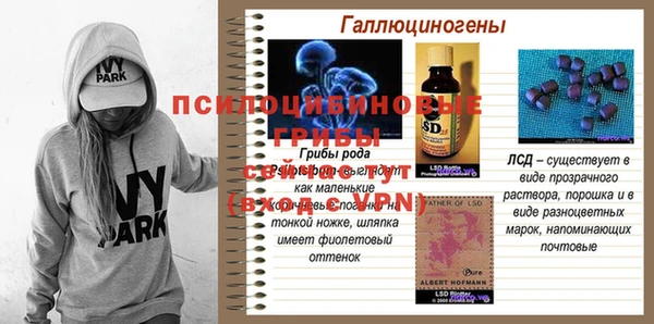 бутират Дмитриев