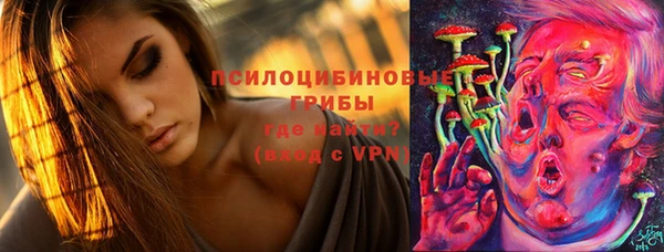 jwh Гусиноозёрск