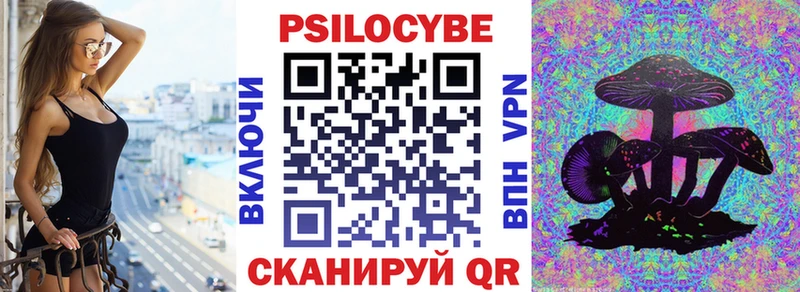 Купить закладки  Карабаново  Псилоцибиновые грибы мицелий 